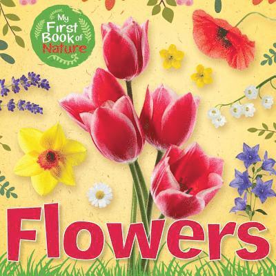 Gallimard Jeunesse - Flowers, Häftad