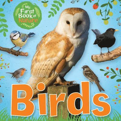 Victoria Munson - Birds, Häftad. Tillgänglighet: Lägg i varukorg