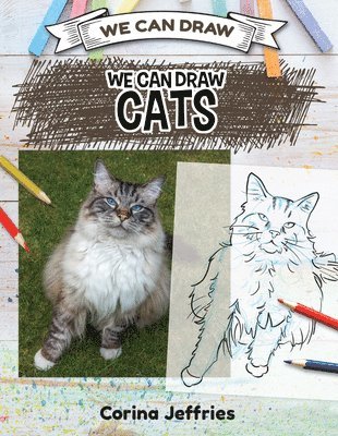 Corina Jeffries - We Can Draw Cats, E-bok