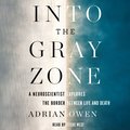 Into the Gray Zone