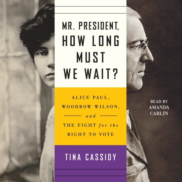 Tina Cassidy - Mr. President, How Long Must We Wait?, Ljudbok