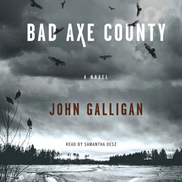 John Galligan - Bad Axe County, Ljudbok