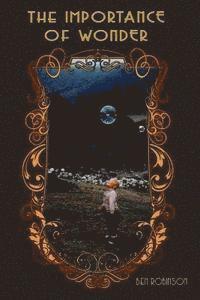 Ben Robinson - The Importance of Wonder, Häftad