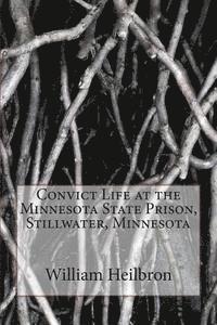 William Casper Heilbron, Vincent Kelvin - Convict Life at the Minnesota State Prison, Stillwater, Minnesota, Häftad. Tillgänglighet: Lägg i varukorg