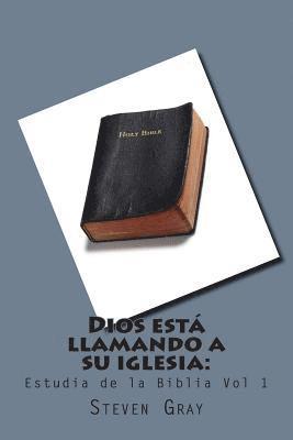 Steven Gray - Dios esta llamando a su iglesia: estudio de la Biblia Vol 1, Häftad. Tillgänglighet: Lägg i varukorg