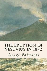 Luigi Palmieri - The Eruption of Vesuvius in 1872, Häftad. Tillgänglighet: Lägg i varukorg