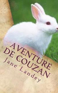 Jane Landey - Aventure de Couzan, Häftad