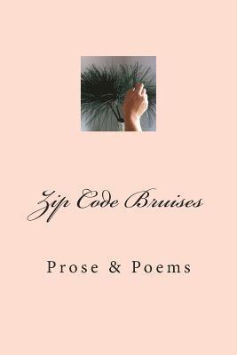 Lisa Flowers - Zip Code Bruises: Prose & Poetry, Häftad. Tillgänglighet: Lägg i varukorg