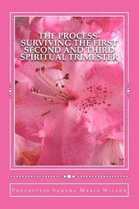 The Process-Surviving The First Second and Third Spiritual Trimester