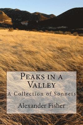 Alexander Fisher - Peaks in a Valley, Häftad. Tillgänglighet: Lägg i varukorg