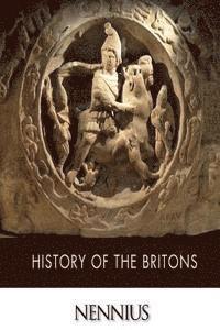 Nennius - History of the Britons, Häftad