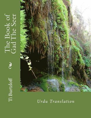 Ti Burtzloff - The Book of Gad the Seer: Urdu Translation, Häftad. Tillgänglighet: Lägg i varukorg