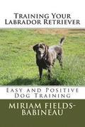 Training Your Labrador Retriever: Easy and Positive Dog Training