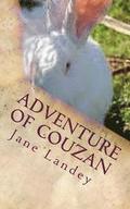 Adventure of Couzan: Chinese Version