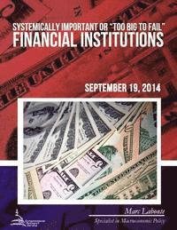 Marc LaBonte - Systemically Important or "Too Big to Fail" Financial Institutions, Häftad