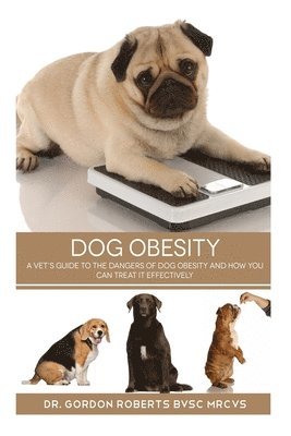 Gordon Roberts Bvsc Mrcvs - Dog Obesity: A vet's guide to the dangers of dog obesity and how you can treat it effectvely, Häftad. Tillgänglighet: Lägg i varukorg