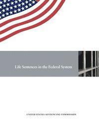United States Sentencing Commission - Life Sentences in the Federal System, Häftad. Tillgänglighet: Lägg i varukorg