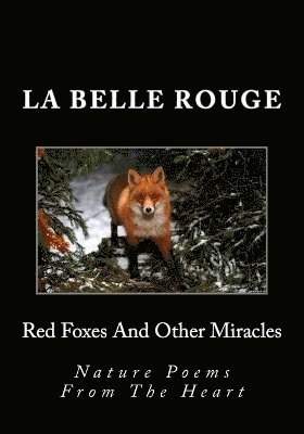 La Belle Rouge - Red Foxes And Other Miracles, Häftad. Tillgänglighet: Lägg i varukorg