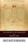 The Wonders of the Human Body