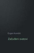 Zacudjeni Svatovi: Roman
