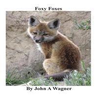 John A. Wagner - Foxy Foxes, Häftad
