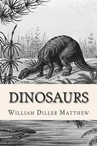 William Diller Matthew - Dinosaurs, Häftad. Tillgänglighet: Lägg i varukorg