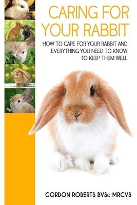 Gordon Roberts Bvsc Mrcvs - Caring For Your Rabbit: How to care for your Rabbit and everything you need to know to keep them well, Häftad. Tillgänglighet: Lägg i varukorg