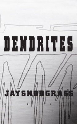 Jay Snodgrass - Dendrites, Häftad