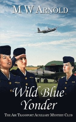 M W Arnold - Wild Blue Yonder, Häftad