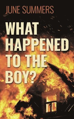 June Summers - What Happened to the Boy?, Häftad