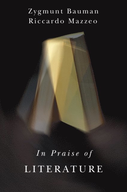 Riccardo Mazzeo, Zygmunt Bauman - In Praise of Literature, E-bok
