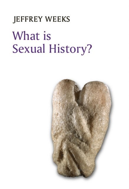 Jeffrey Weeks - What is Sexual History?, E-bok