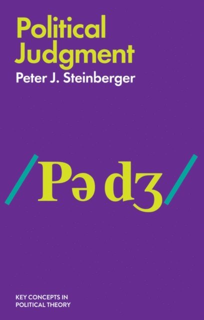Peter J. Steinberger - Political Judgment, E-bok