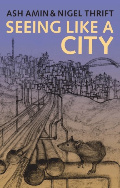 Nigel Thrift, Ash Amin - Seeing Like a City, E-bok