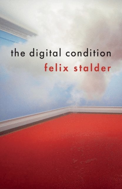Felix Stalder - Digital Condition, E-bok