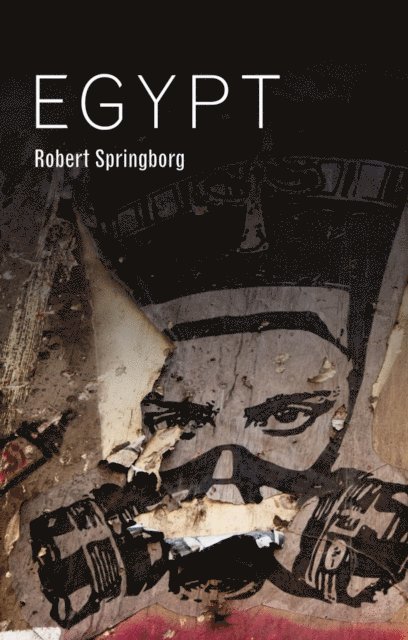 Robert Springborg - Egypt, E-bok