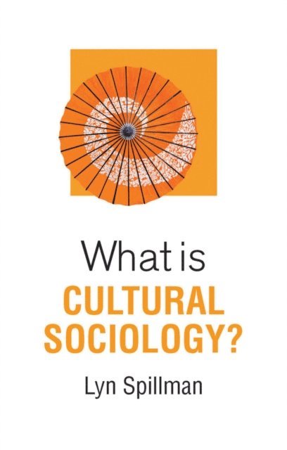 Lyn Spillman - What is Cultural Sociology?, E-bok