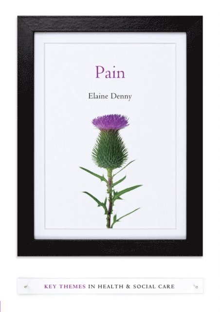 Elaine Denny - Pain, E-bok