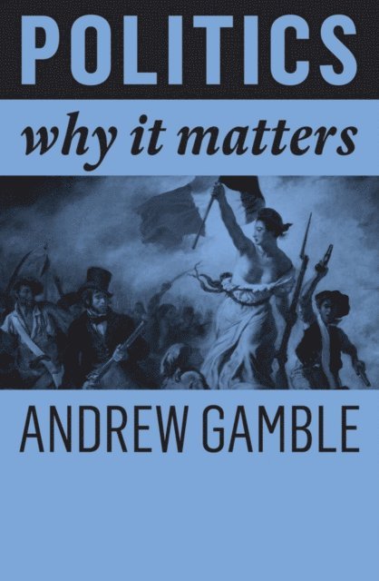 Andrew Gamble - Politics, E-bok