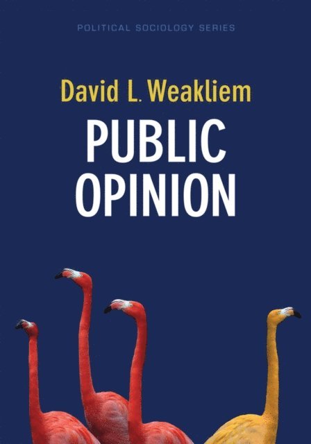 David L. Weakliem - Public Opinion, E-bok