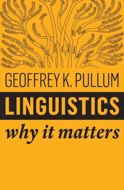 Geoffrey K. Pullum - Linguistics, E-bok