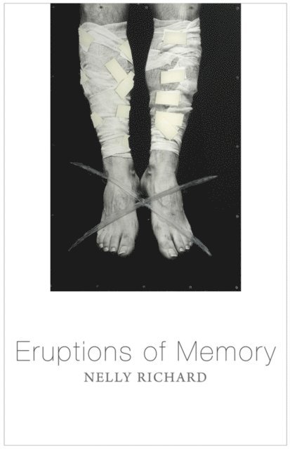 Nelly Richard - Eruptions of Memory, E-bok
