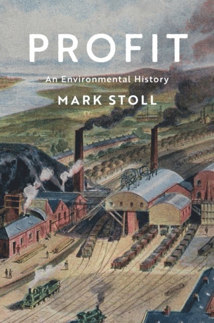 Mark Stoll - Profit, E-bok