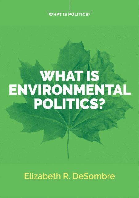 Elizabeth R. DeSombre - What is Environmental Politics?, E-bok
