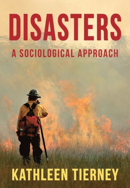 Kathleen Tierney - Disasters, E-bok