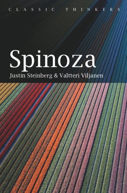 Justin Steinberg - Spinoza, E-bok