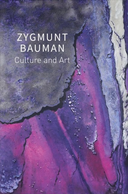 Zygmunt Bauman, Thomas Campbell, Jack Palmer, Mark Davis, Dariusz Brzezinski - Culture and Art, E-bok