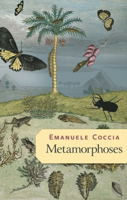 Emanuele Coccia - Metamorphoses, E-bok