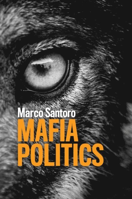Marco Santoro - Mafia Politics, E-bok