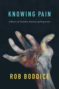 Knowing Pain